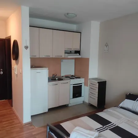 Apartment Apartmana Div 2